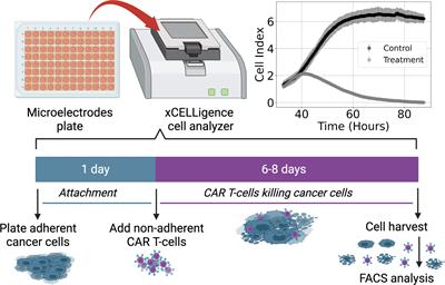 Data driven model discovery and interpretation for CAR T-cell killing using sparse identification and latent variables